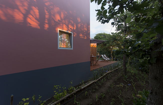 Quinta dos Peixes Falantes - Foto 9