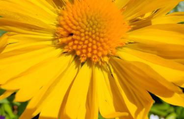 Le Jardin du Cannet - Foto 28