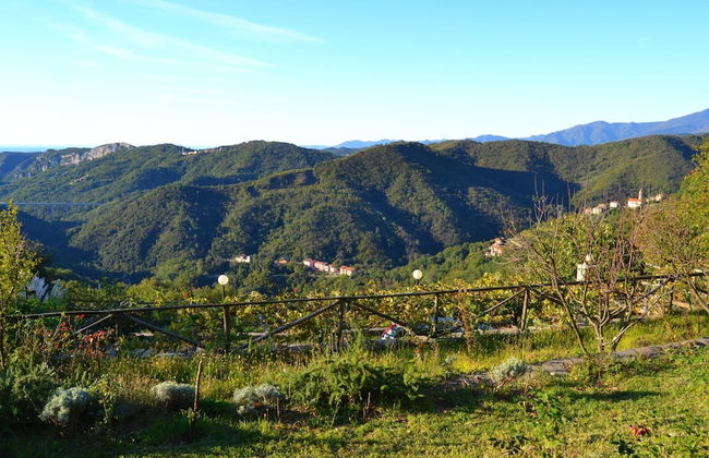 Woodland Escape With Pool - Foto 38