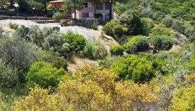 Villa Laura Aegilium - Foto 1