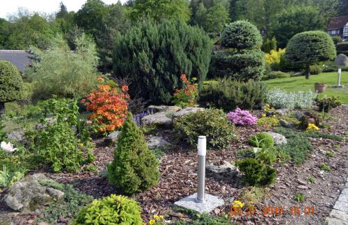 Zielony Zakątek Sosnówka - Foto 40