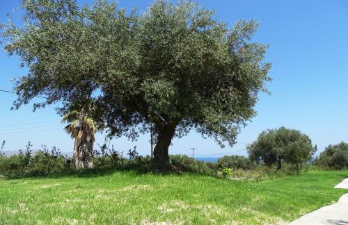 Lyrids Apartments - Photo 96