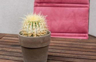 Apartment Vanda - Foto 13