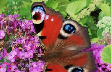 Ediths Haus - Foto 3