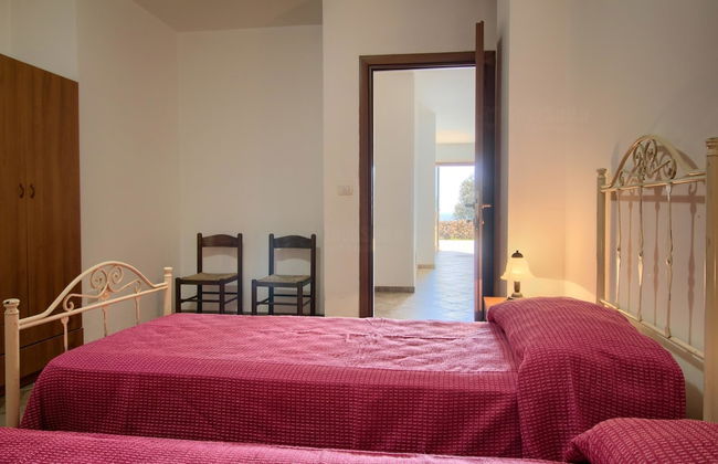 Salvia Lovely Seaview - Foto 4