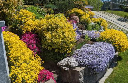 Triberg Blick - Foto 22