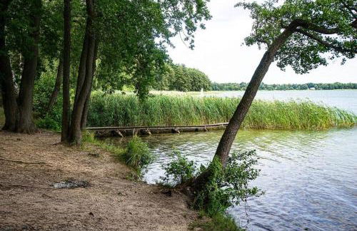 Ferienhaus mit Terrasse und Garten in Wandlitz - Photo 33