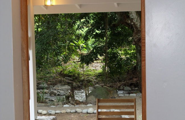 Citrus Creek Plantation - Photo 44