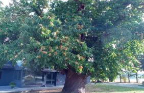 La Maison de Julise - Foto 9