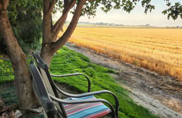 Red Roof Lodge• hot tub• 18 beds• venue• treehouse - Foto 15