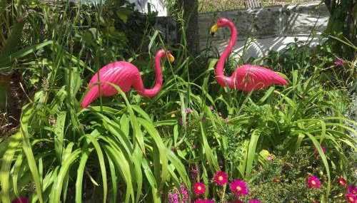 The Retro Retreat with free parking - Foto 4