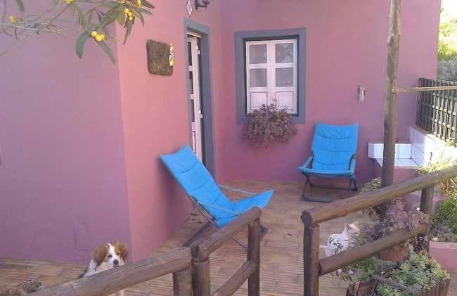 Casa Adega - Quinta Amoreira - Foto 31