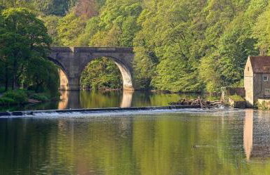 Recently renovated stylish home parking - Pass the Keys - Photo 40