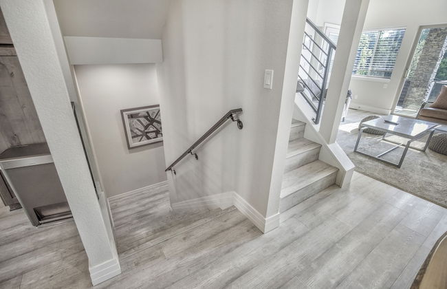 Chipmunk Complex - Foto 41