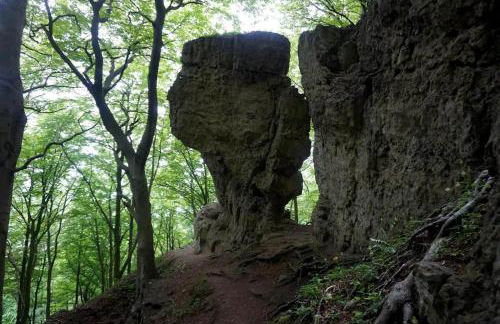 Tiny House Ithblick direkt am See - Foto 13