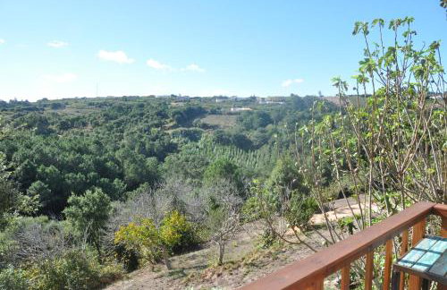 Quinta do Bom Vento - Photo 92