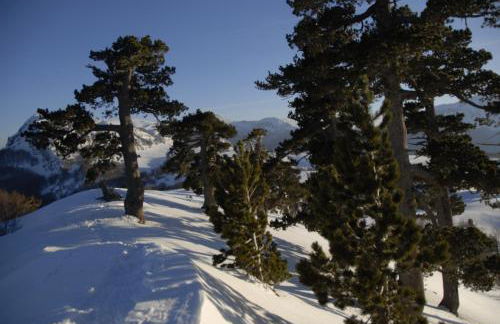 Tana Libera Tutti 3 Nature, Yourself, Love - Foto 45