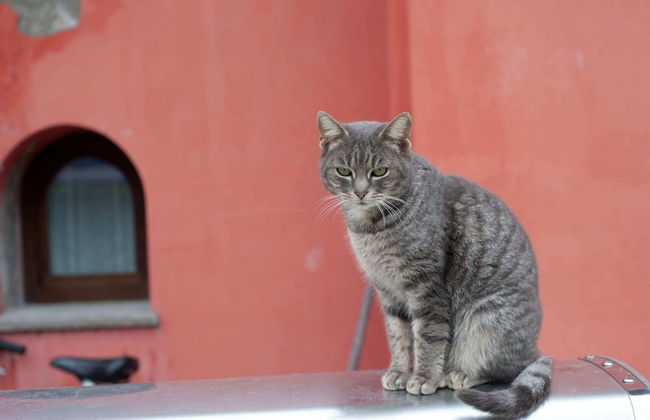 Belvilla by OYO Appartamento Yassine - Foto 30