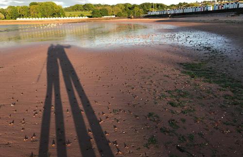 Seaspot is a 1 bed annex ground floor apartment at stunning Broadsands Beach nr Brixham! - Foto 15