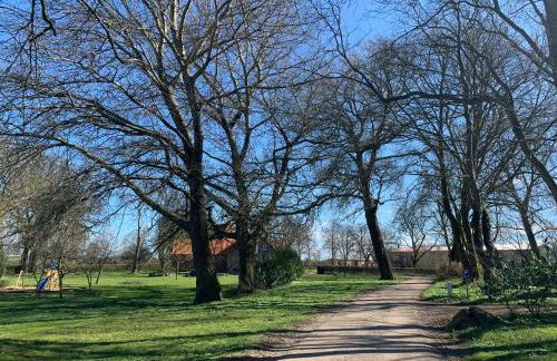 Gutshof Rothensande Herrenhaus - Foto 21