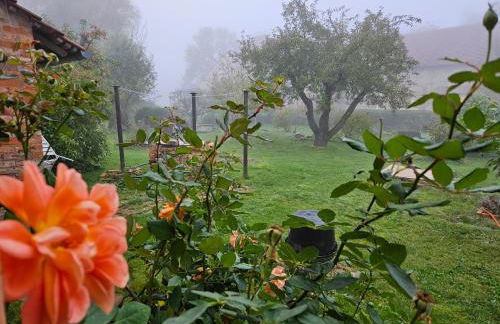 Gartenhaus Schlanstedt - Foto 22