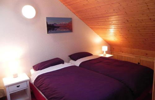 Les Myrtilles - Foto 8