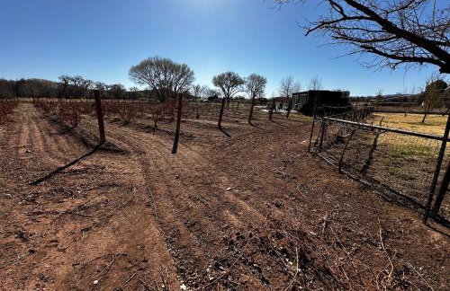 Riesling Retreat - Foto 22