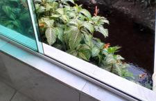 Casa quatro patas - Photo 17