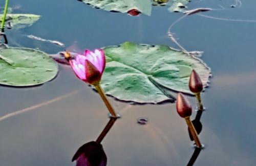 Deixe a energia fluir e contaminar suas férias. - Foto 72