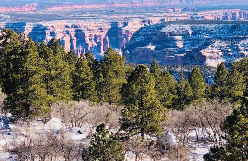 Cedar Canyon Condos - Foto 52