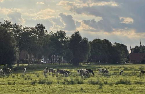Ferienwohnung Kramer 25569 - Foto 10