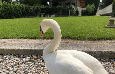 Sunset Apartment - Foto 15