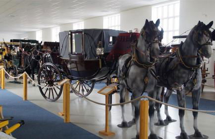 Schöne Ferienwohnung im Erholungsort Sternberg - Foto 24