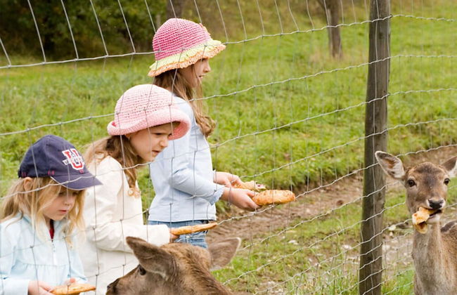 Muhlenhof - Muller Thurgau - Photo 11