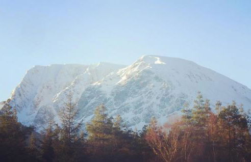 Wild Nurture Eco Luxury Offgrid Log Cabin - Foto 58