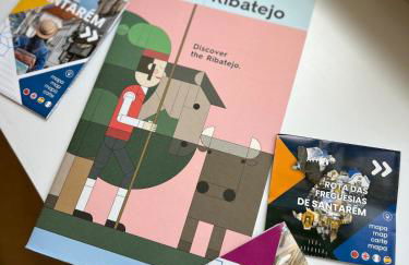 Casa dos Relevos - Centro Histórico de Santarém - Foto 13