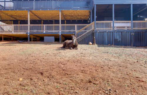 Woodsy North Georgia Mountain Hideaway with Fire Pit - Photo 18