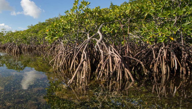 Tour in San Andres - Photo 3