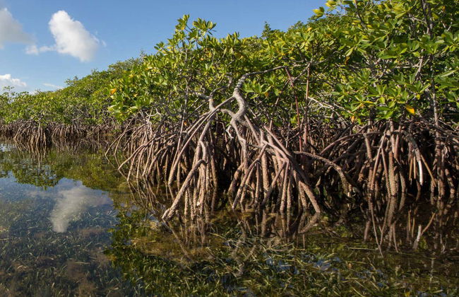 Tour in San Andres - Photo 3