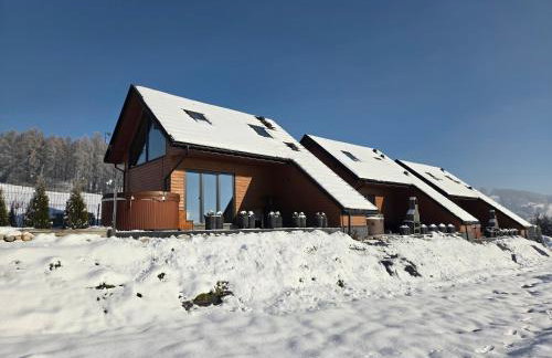 COSY CABINS - las, jezioro, góry,wyciąg Czorsztyn-Ski, prywatna sauna, jacuzzi bez limitu - Foto 2