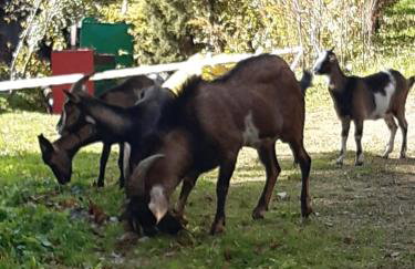 Villa Victoria - Foto 50