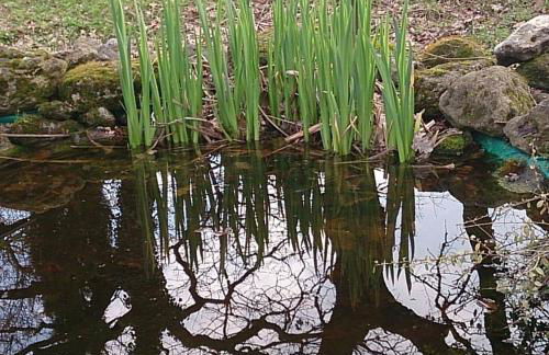 Agriturismo Ca' de' Gatti - Photo 40