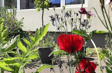 Stadtoase Koblenz - Foto 9