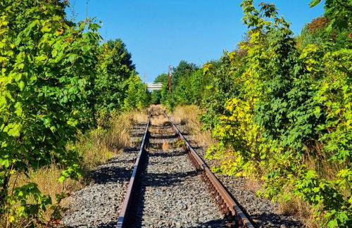 Osada Miłojeż - całoroczne Domy Premium w Borach Tucholskich, Jacuzzi pod gwiazdami - Foto 28