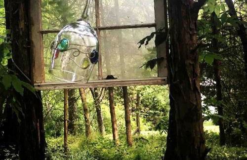 Magical Yurt Rental for Glamping in North Carolina - Photo 14