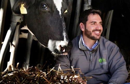 Agriturismo Villa Dafne - Foto 160