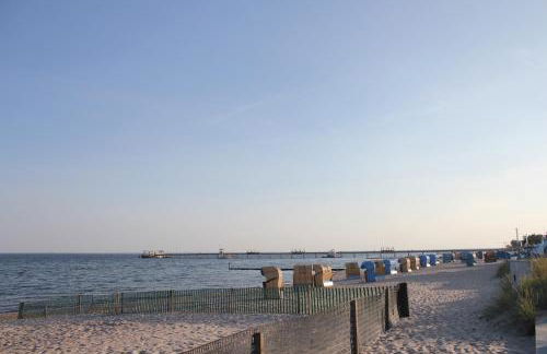 Silbermöwe im Kirschgarten - Foto 32