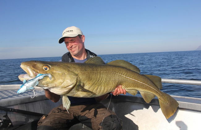 Saltstraumen Brygge - Photo 17