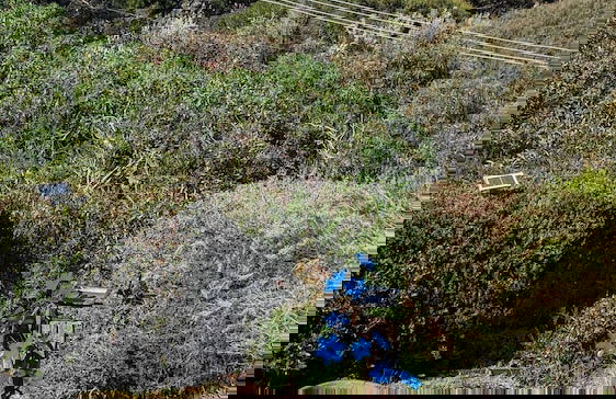 Fairhaven Beach House With Ocean Views and Tranquil Setting - Foto 45