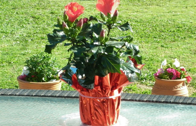 Helen's family home - Photo 43